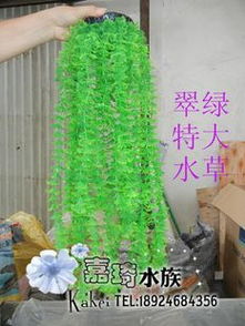 靈動(dòng)水下桃源 生態(tài)假山助力水族箱打造夢幻魚樂世界